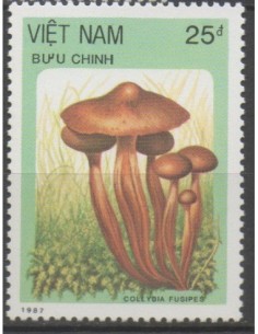 Rep Soc Viet N° 0852 Obli