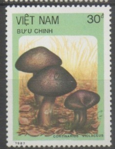 Rep Soc Viet N° 0853 Obli