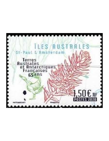 T.A.A.F N° 0954 Neuf **