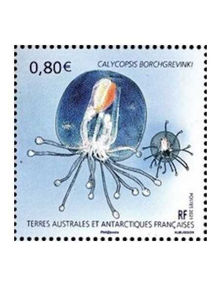 T.A.A.F N° 0963 Neuf **