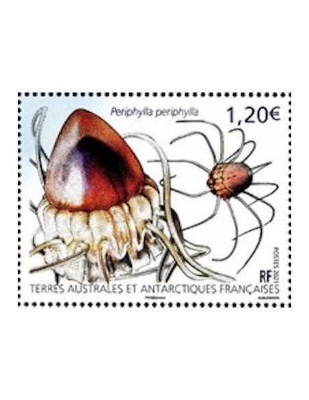 T.A.A.F N° 0964 Neuf **