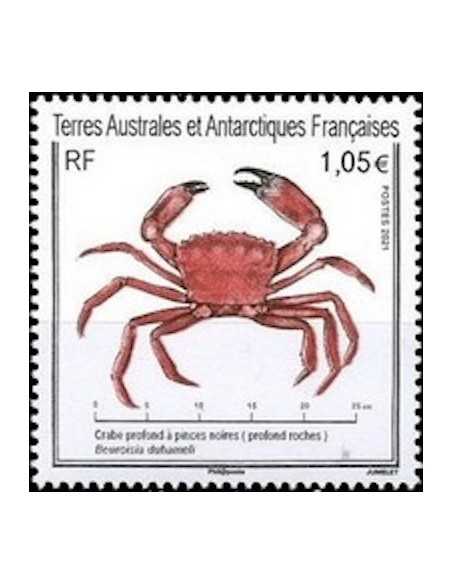 T.A.A.F N° 0965 Neuf **