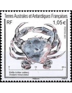 T.A.A.F N° 0966 Neuf **