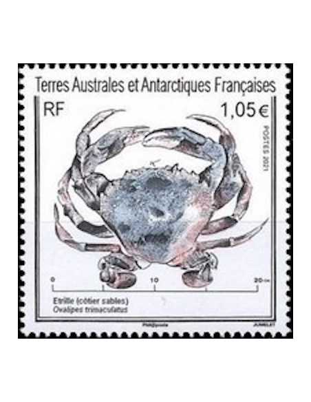 T.A.A.F N° 0966 Neuf **