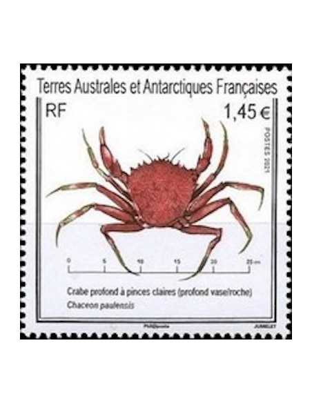 T.A.A.F N° 0967 Neuf **