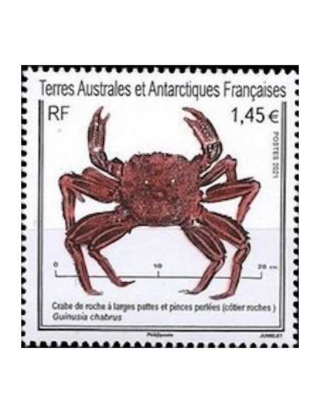 T.A.A.F N° 0968 Neuf **