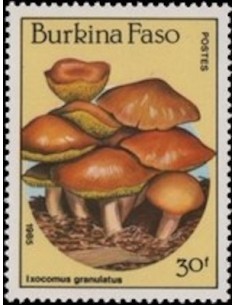 BURKINA N° 0678 Neuf **