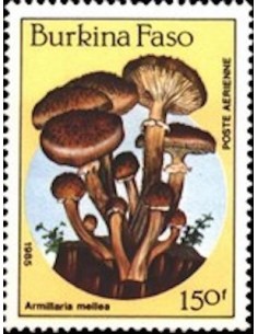 BURKINA PA N° 0311 Neuf **
