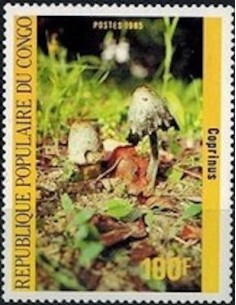 Timbre Poste Congo N° 0764 N** philatelie foxtimbre