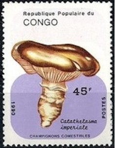Timbre Poste Congo N° 0888B N** philatelie foxtimbre
