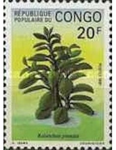 Timbre Poste Congo N° 0897 Obl philatelie foxtimbre