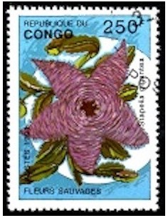 Timbre poste Congo N° 0986 N**philatelie foxtimbre