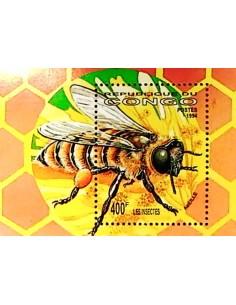 Timbre Poste Congo BF N° 61 Obli philatelie foxtimbre