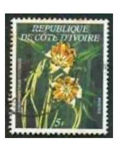 Timbre Poste Cote d'ivoire N° 462B Obli philatelie foxtimbre