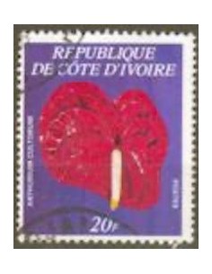 Timbre Poste Cote d'ivoire N° 462C Obli philatelie foxtimbre