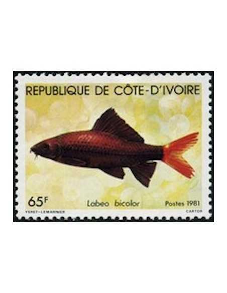 Timbre Poste Cote d'ivoire N° 568 Obli philatelie foxtimbre