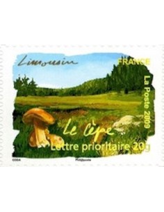 Timbre Poste Autoadhesif Obli N° 0307 philatelie foxtimbre