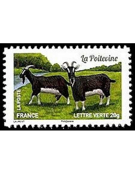 Timbre Poste Autoadhesif Obli N° 1097 philatelie foxtimbre