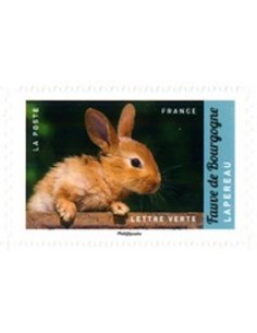 Timbre Poste Autoadhesif Obli N° 1387 philatelie foxtimbre