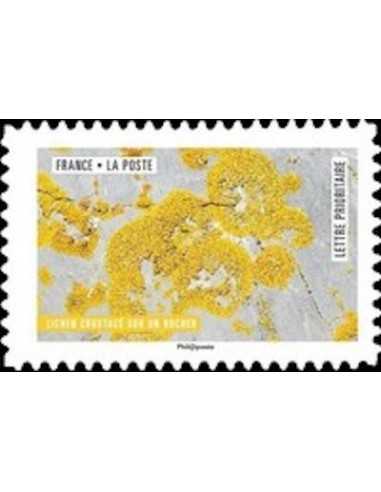 Timbre Poste Autoadhesif Obli N° 1508 philatelie foxtimbre