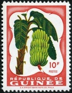 Timbre Poste GUINEE N° 0016 Neuf * philatelie foxtimbre