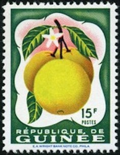 Timbre Poste GUINEE N° 0017 Obli philatelie foxtimbre