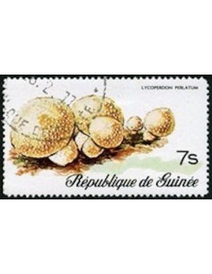 Timbre Poste GUINEE N° 0577 Obli philatelie foxtimbre