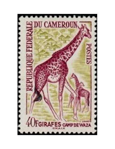 Timbre poste Cameroun N° 353 Obli