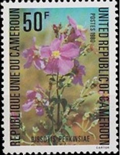 Timbre poste Cameroun N° 652 Obli