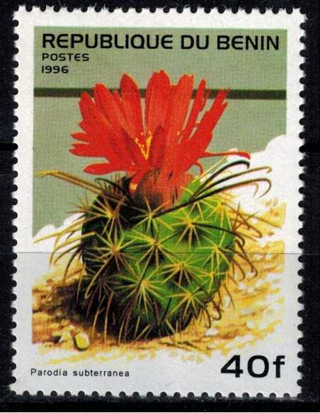 Timbre Poste BENIN N° 0710BF Obli philatelie foxtimbre