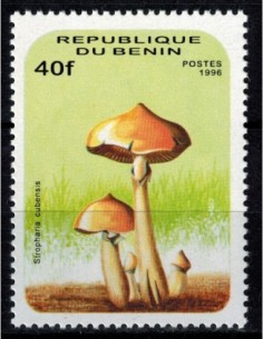 Timbre Poste BENIN N° 0710CS Obli philatelie foxtimbre