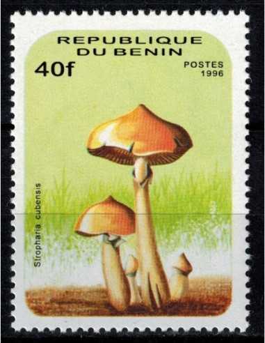 Timbre Poste BENIN N° 0710CS Obli philatelie foxtimbre