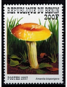 Timbre Poste BENIN N° 0782 Obli philatelie foxtimbre