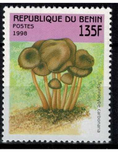 Timbre Poste BENIN N° 0796 Obli philatelie foxtimbre