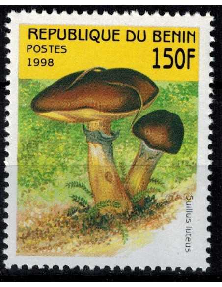 Timbre Poste BENIN N° 0797 Obli philatelie foxtimbre