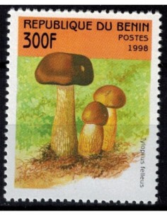 Timbre Poste BENIN N° 0800 Obli philatelie foxtimbre