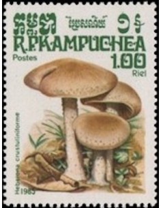 Timbre Poste Kampuchea N° 0579 Obli philatelie foxtimbre