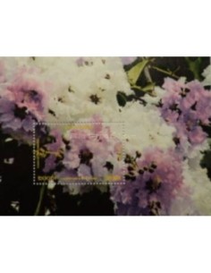 Timbre Poste Etat du Cambodge BF N° 191 Neuf** philatelie foxtimbre