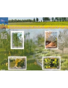 Maroc BF N° 32 Neuf **