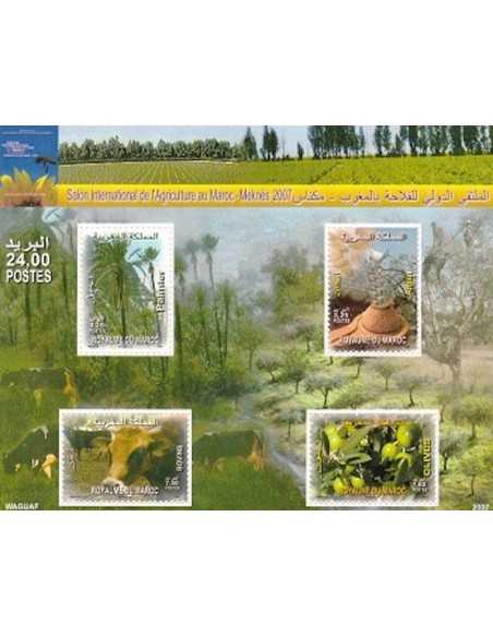 Maroc BF N° 32 Neuf **