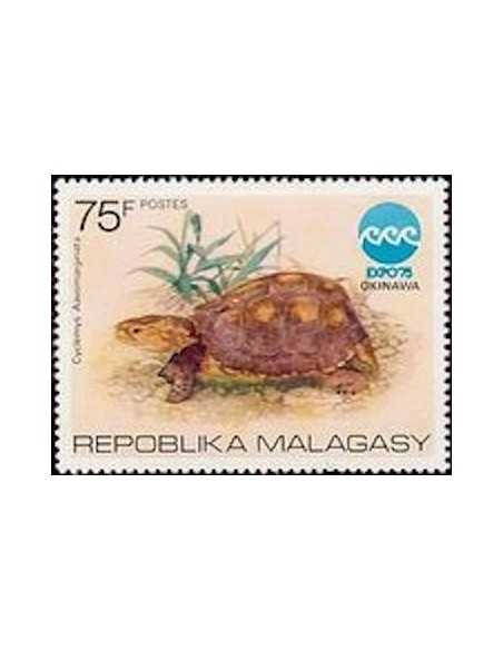 Madagascar N° 0570 Obli