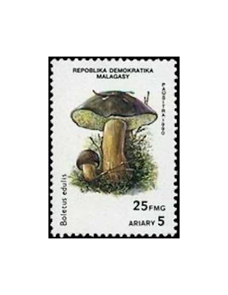 Madagascar N° 1007 Obli