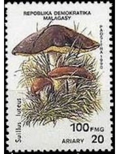 Madagascar N° 1008 Obli