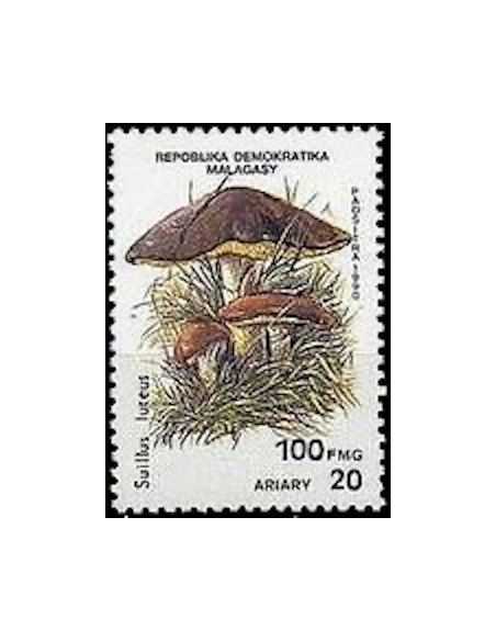Madagascar N° 1008 Obli
