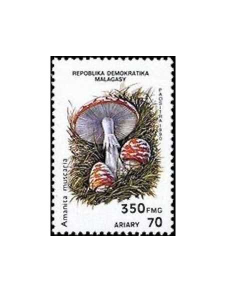 Madagascar N° 1009 Obli