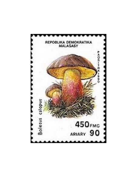 Madagascar N° 1010 Obli