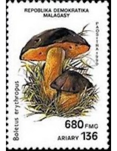 Madagascar N° 1011 Obli