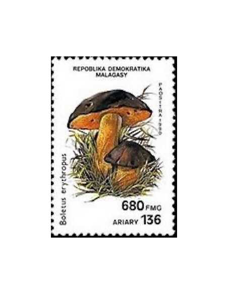 Madagascar N° 1011 Obli