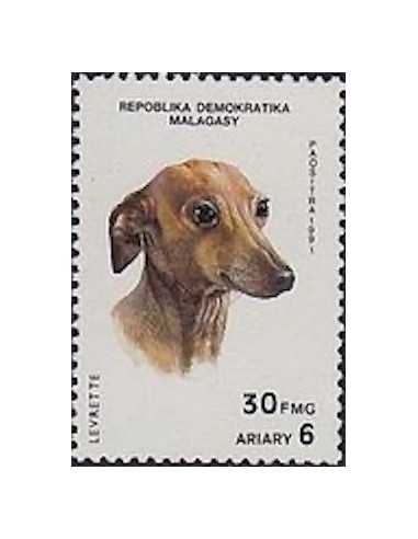 Madagascar N° 1014 Obli