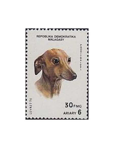 Madagascar N° 1014 Obli